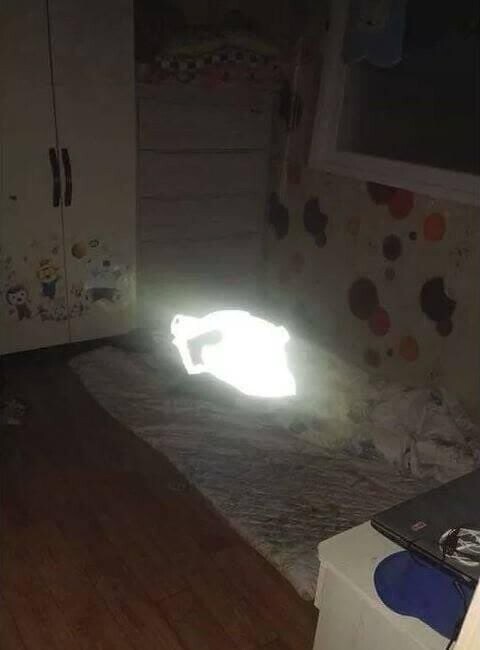 개 쌉 깔롱 그잡체인 패팅_4.jpg