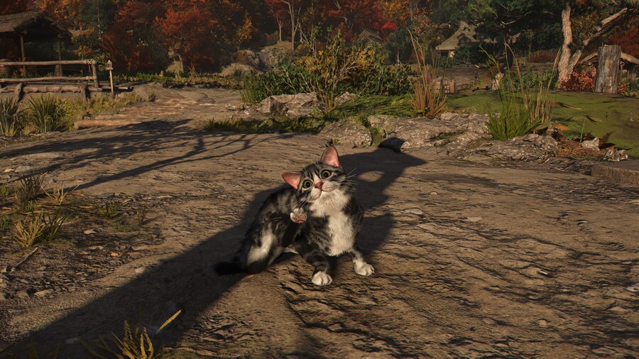 어쌔신 크리드 섀도우 1.1.7 업데이트_1.png