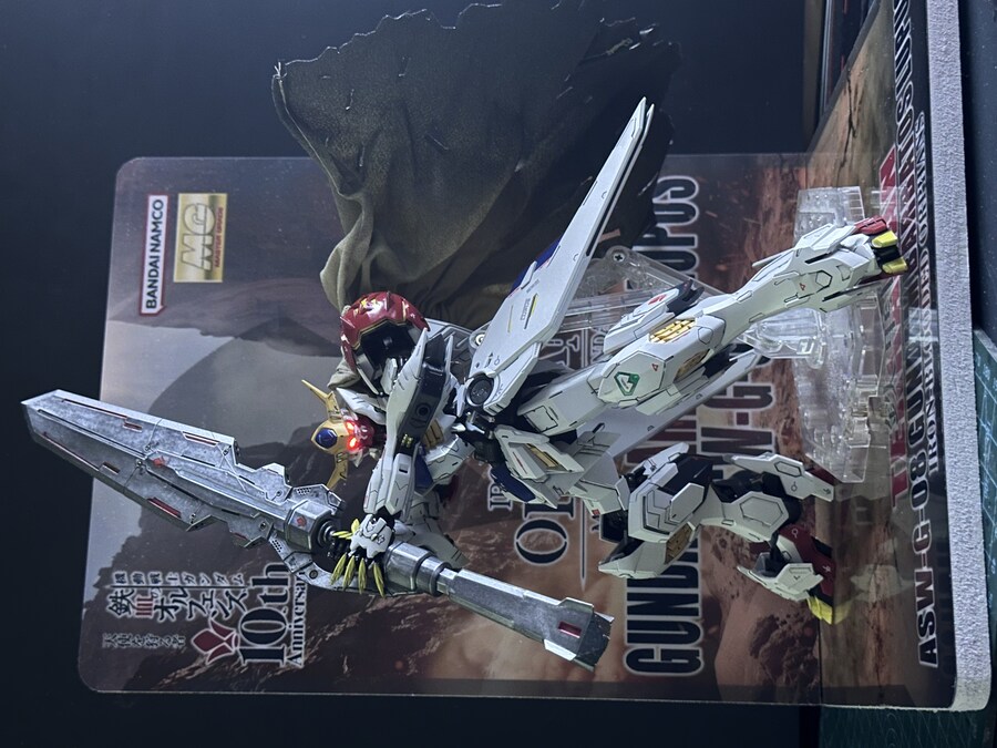 MG 발바토스 루푸스 + led + 아크릴스탠드_21.jpg