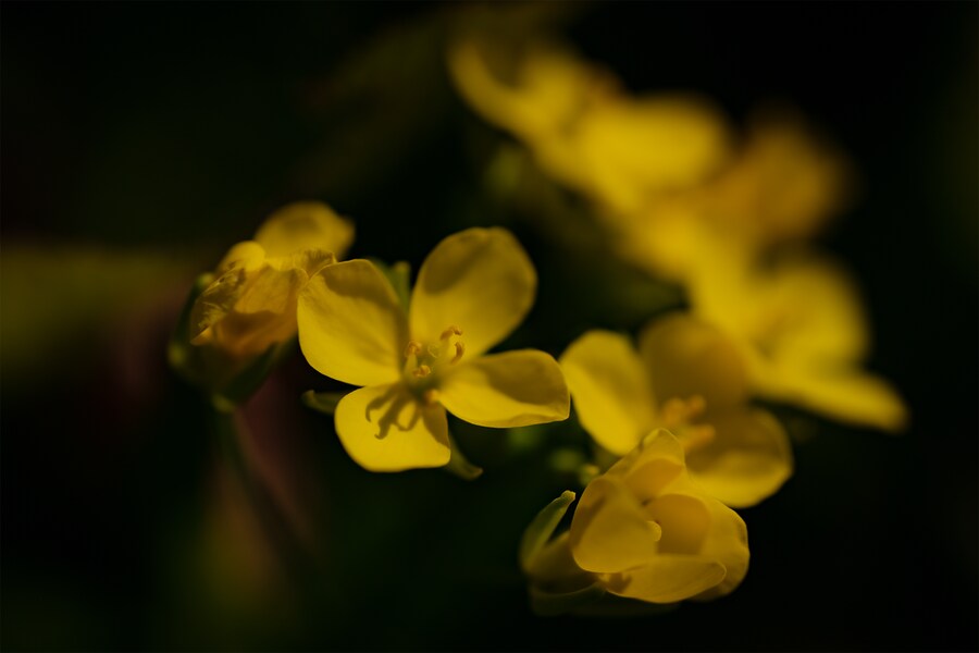 길 걷다 만난 꽃과 벌레 친구들 입니다._7.png