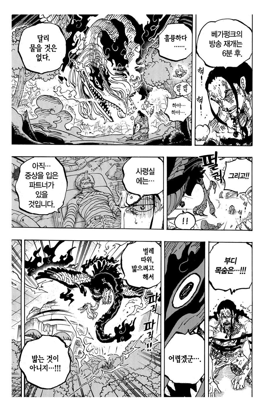 원피스 마스성 관련 웃긴 점_2.jpg