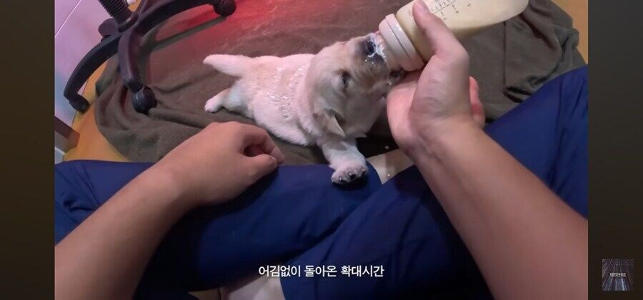 아이 귀여워_4.jpg