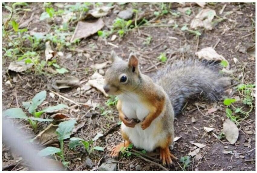 ??? : "저기요, 지금 제 가슴보셨죠??"_1.jpg