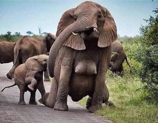 "저기요, 지금 제 가슴 보셨죠?"_1.jpg