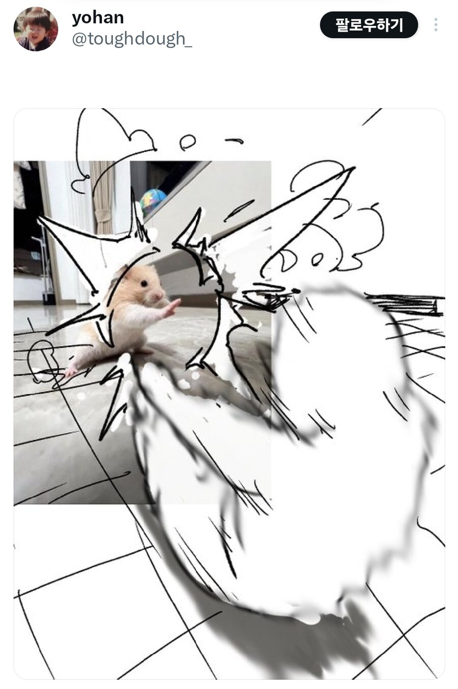 "엄마, 햄스터는 잘 지내?" 라 하니 보내준 사진_3.jpg