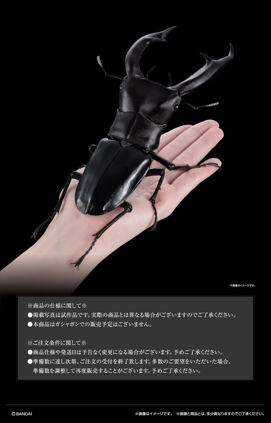 [반다이가샤폰] 생물대도감 프리미엄 만디블라리스 큰턱 사슴벌레_2.jpg