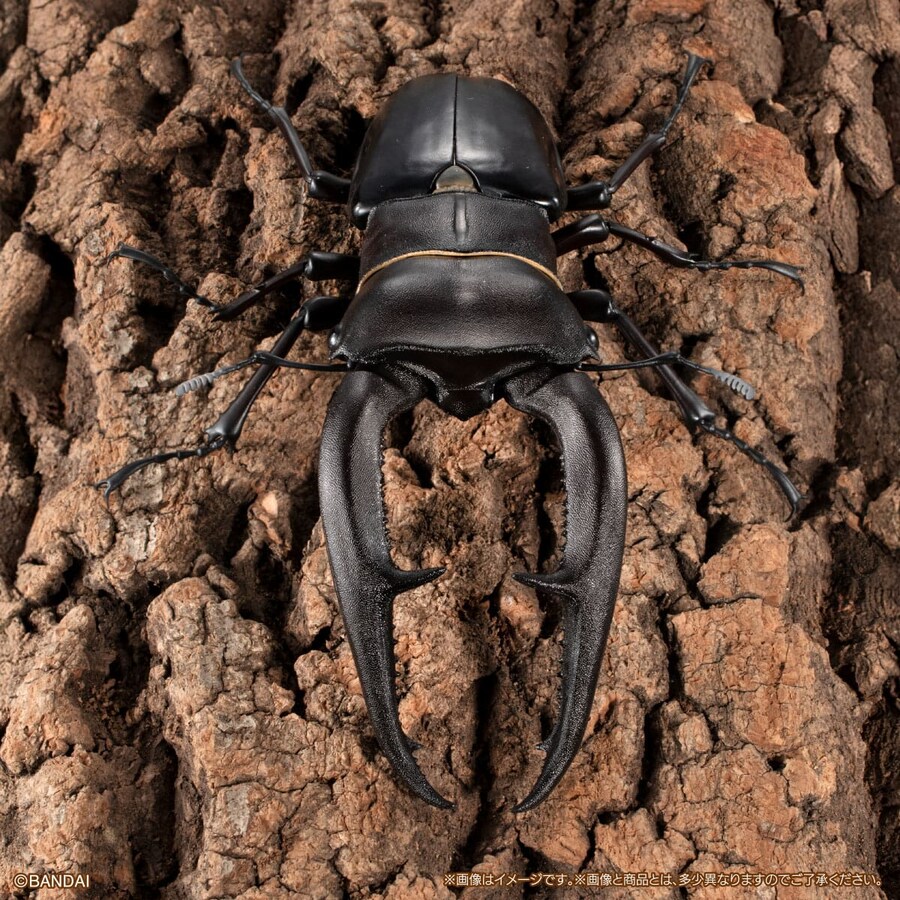 [반다이가샤폰] 생물대도감 프리미엄 만디블라리스 큰턱 사슴벌레_3.jpg