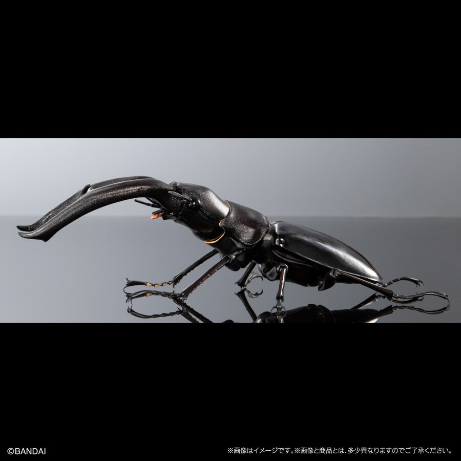 [반다이가샤폰] 생물대도감 프리미엄 만디블라리스 큰턱 사슴벌레_4.jpg