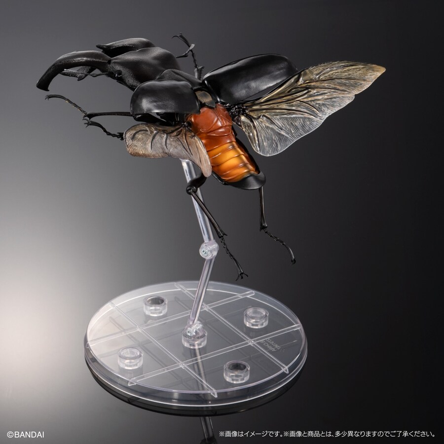 [반다이가샤폰] 생물대도감 프리미엄 만디블라리스 큰턱 사슴벌레_6.jpg