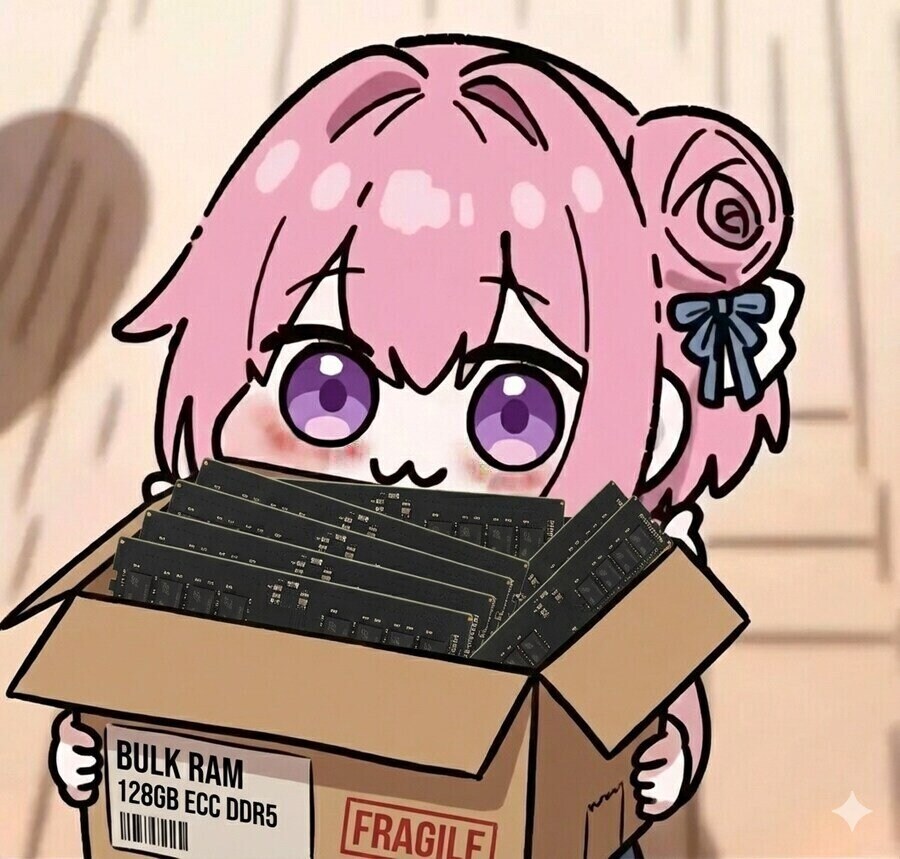 도로 힘내서 메모리 사왔어_1.jpg