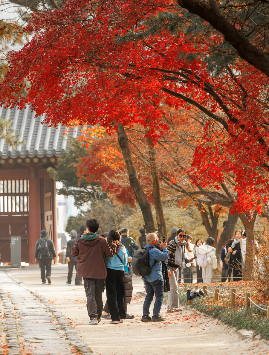 종묘 단풍구경_21.jpg