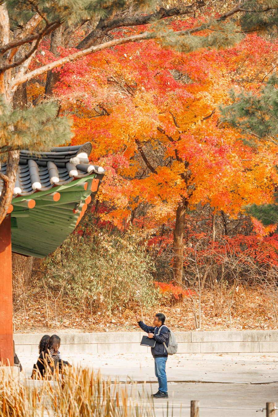 종묘 단풍구경_25.jpg