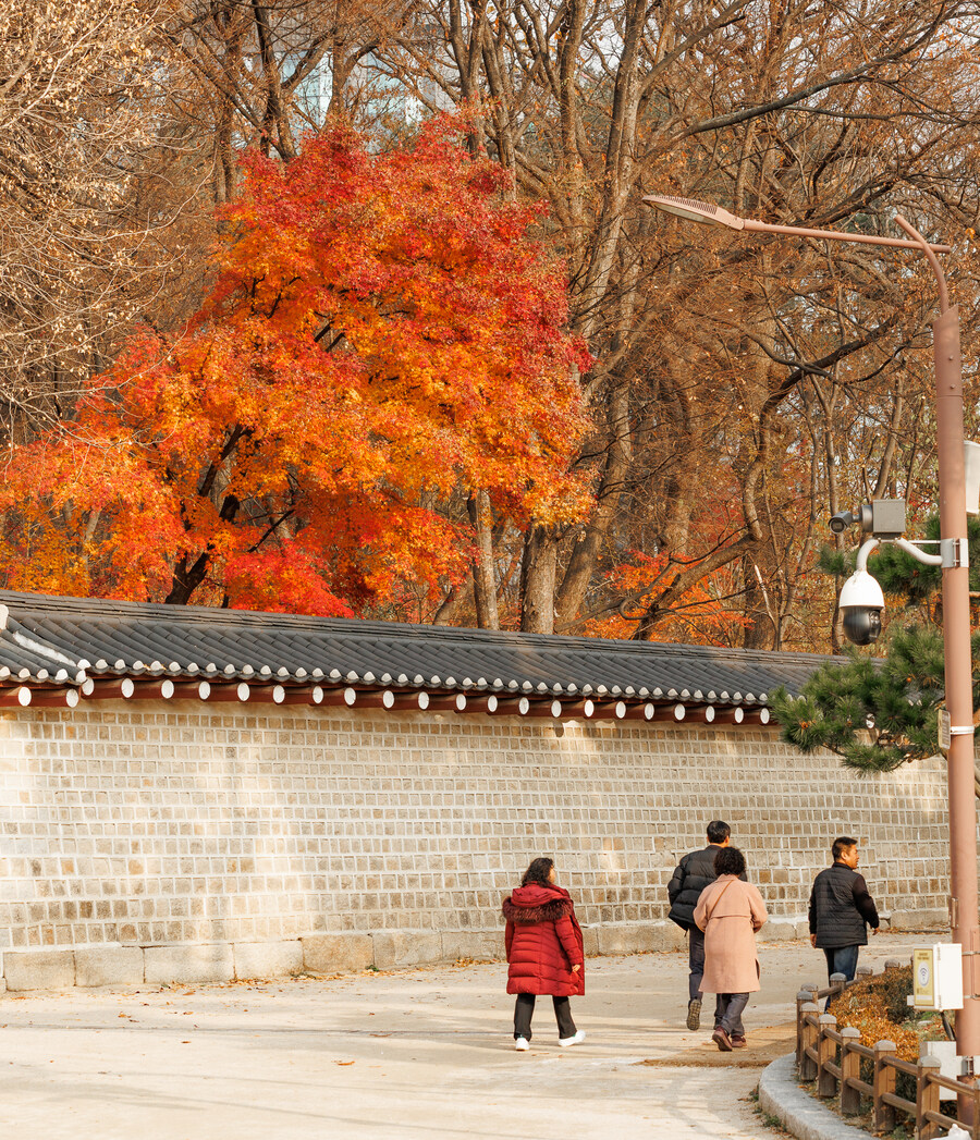 종묘 단풍구경_26.jpg