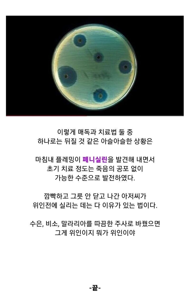 "뭐 어쩌라고 ㅅㅂ 그럼 매독으로 죽던가"_11.jpg