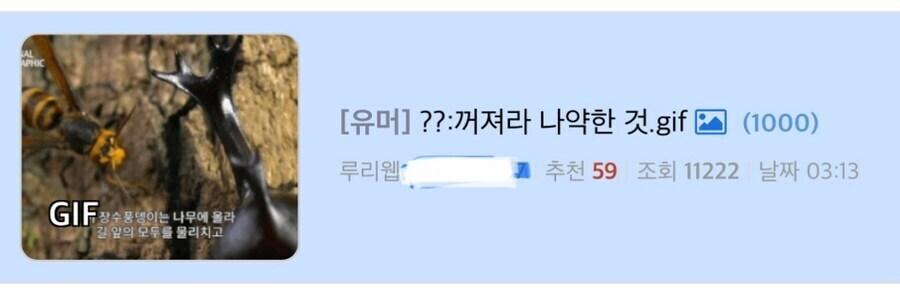 지니난이 간절히 바라는 유게 인재_1.jpg