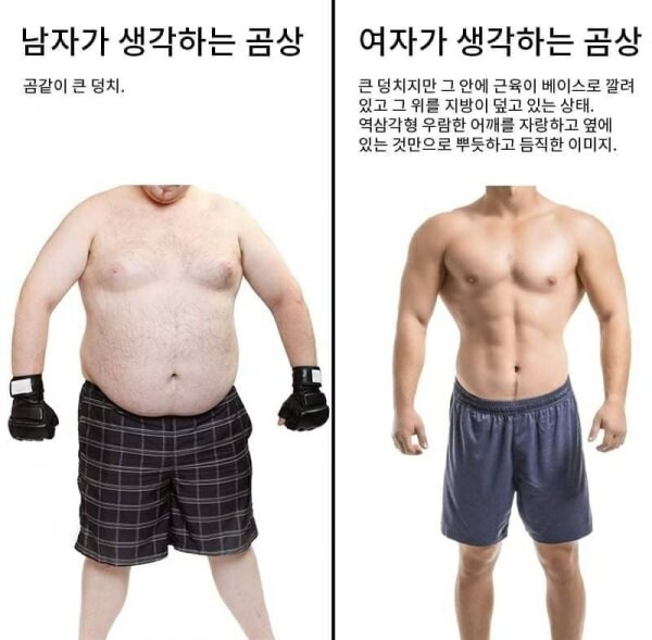 남녀가 생각하는 곰상_1.jpg