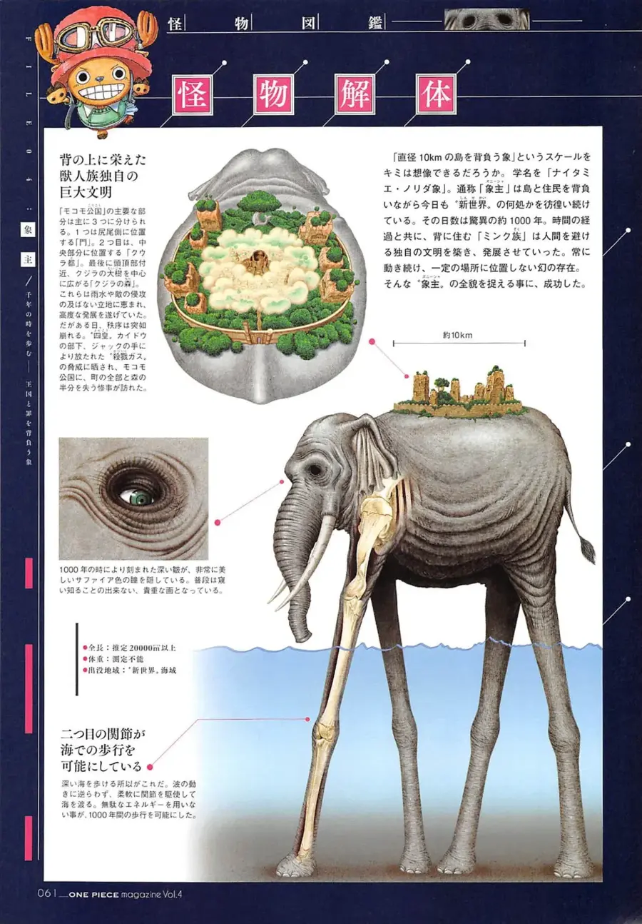 원피스 잘모르는 즈니샤의 모티브_1.webp