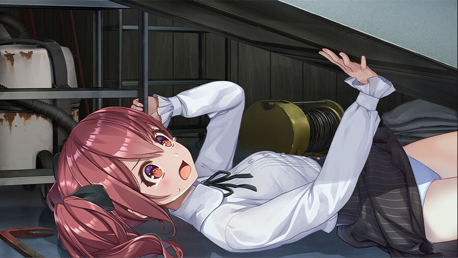 폐심 1・2 초회한정판 패키지 일본에서 발매_2.jpg