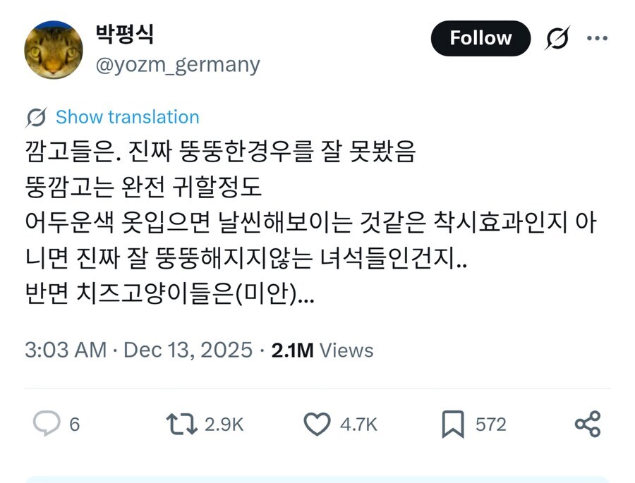 "근데 치즈 고양이들은..."_1.jpg