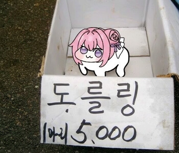 시골시장 도로롱_1.jpg
