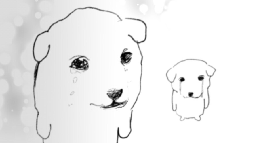 2주전 창원 모텔 칼부림사건 기억하는사람?_1.jpg