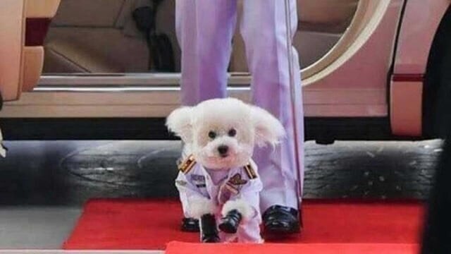 태국 공군이 현재 위기인 이유_4.jpg