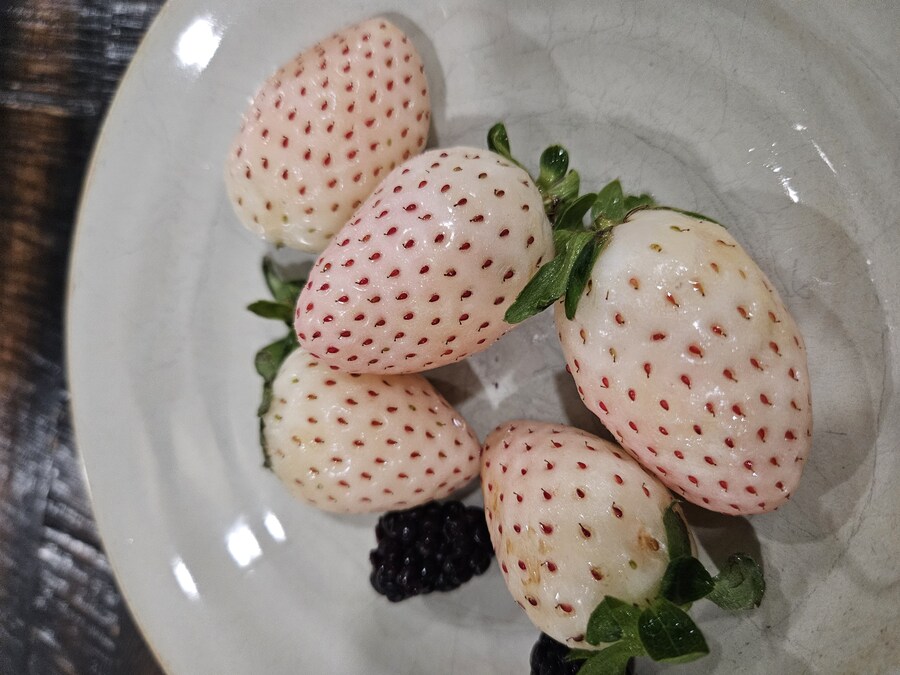 미국 파인베리 딸기_2.jpg