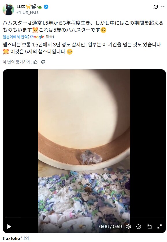 인간으로 치면 150살 이상인 햄스터_1.png