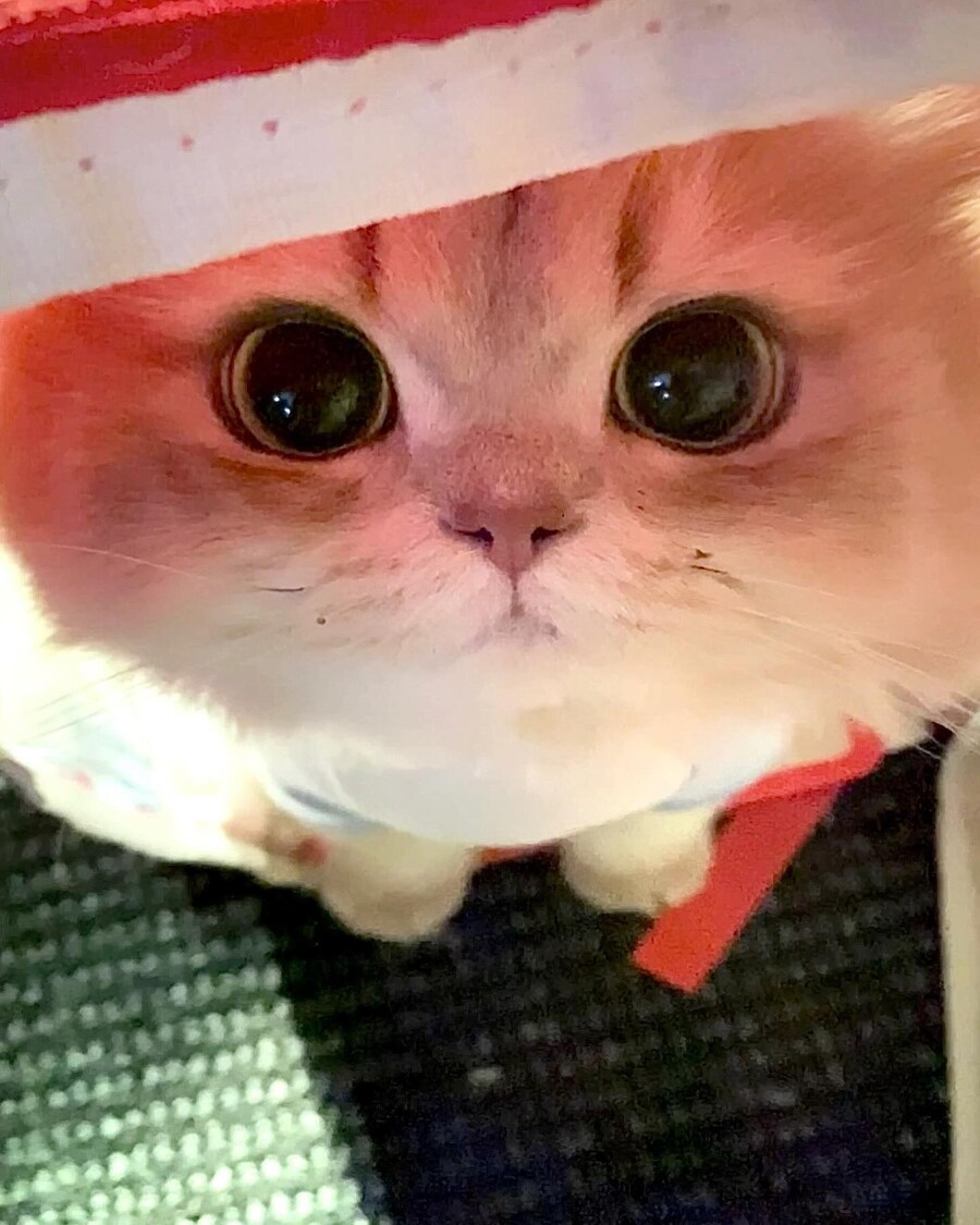 유게가 또 개판이되려하잖아?_4.jpg