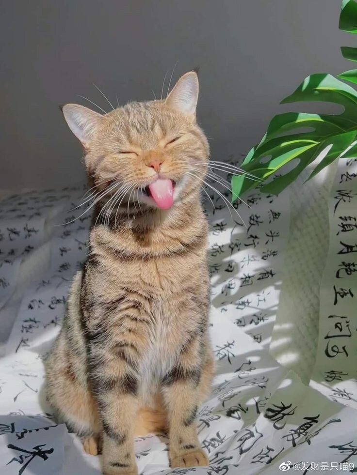 유게가 또 개판이되려하잖아?_8.jpg