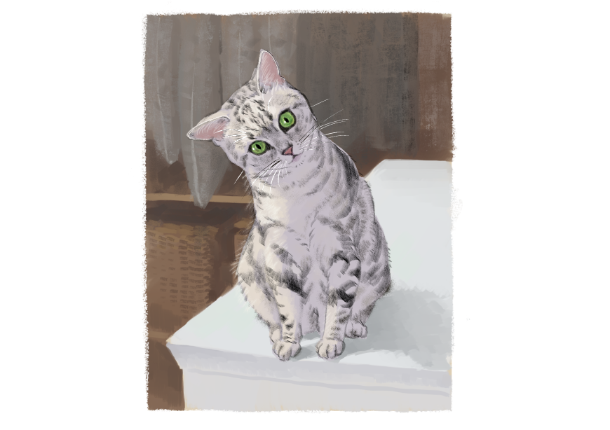 남의집 고양이 보고 가이소_3.png