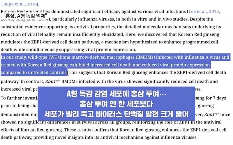 힌국인이 바이러스에 강한 이유 ㄷㄷㄷ;;_3.jpg