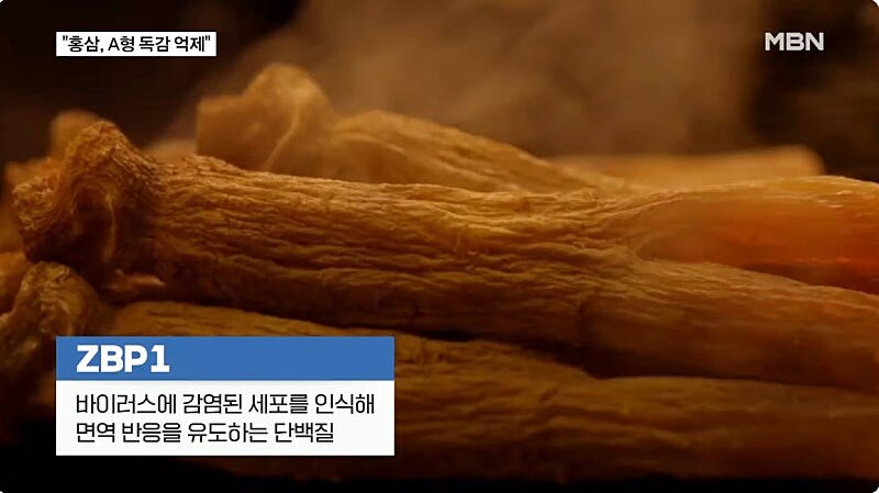 힌국인이 바이러스에 강한 이유 ㄷㄷㄷ;;_4.jpg