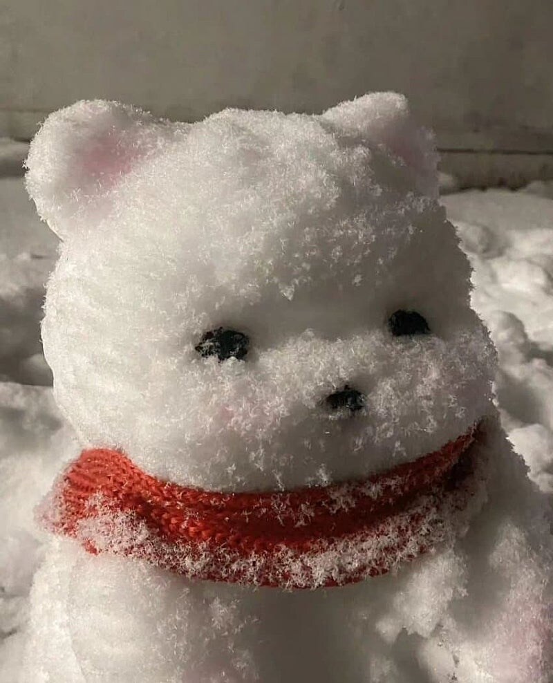 어느 디시인이 만든 강아지 눈사람 ㄷㄷㄷ;;_3.jpg