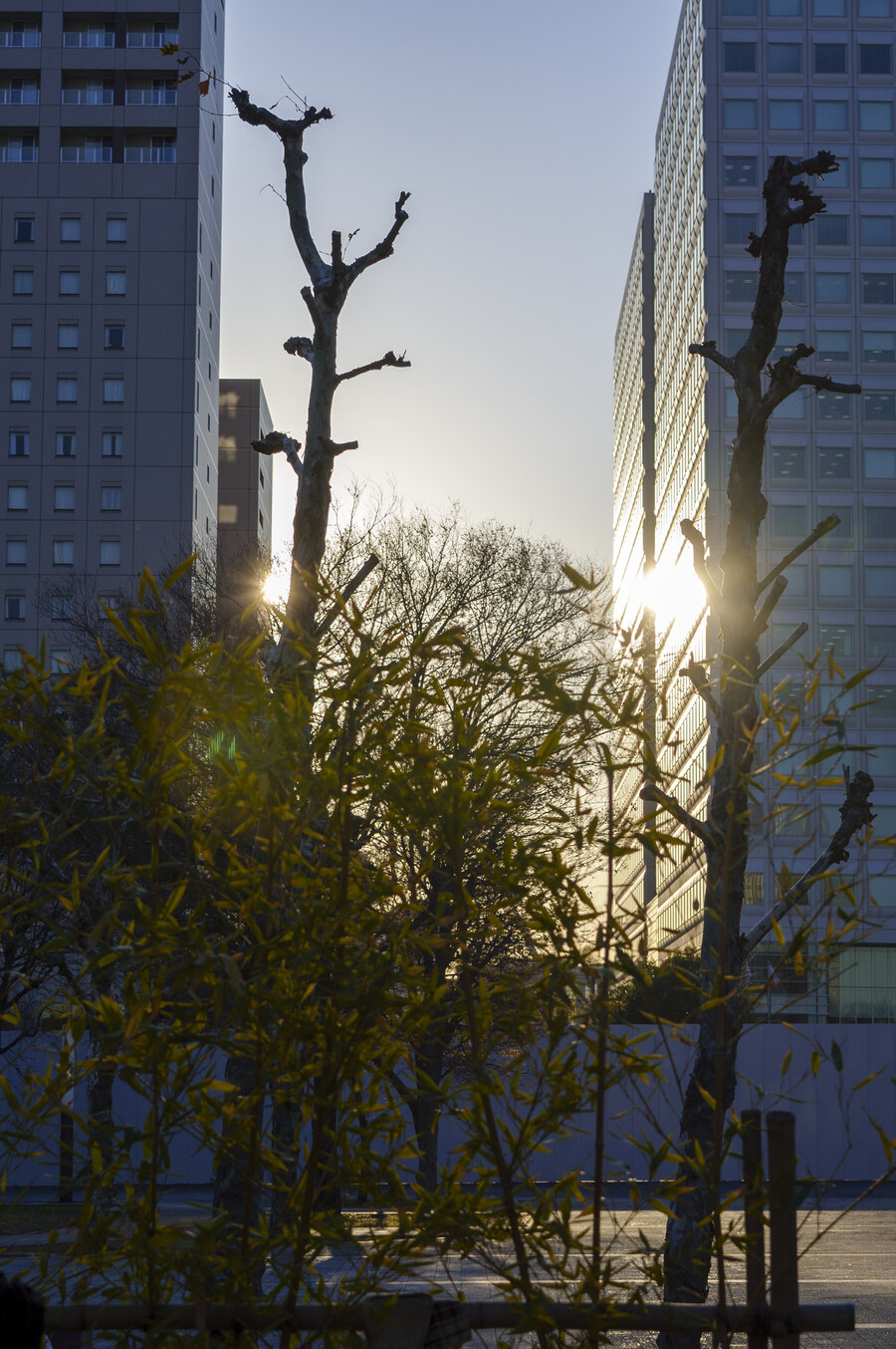 버튜버) 늦은 리글로스 라이브 후기 겸 도쿄 여행기! (사진 많음)_17.jpg