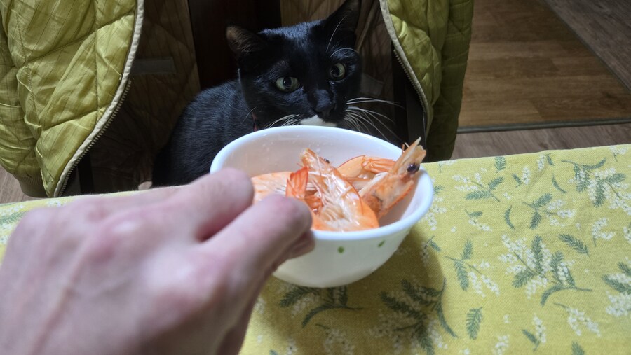 야옹이랑 한잔 해읍니다^^_4.jpg