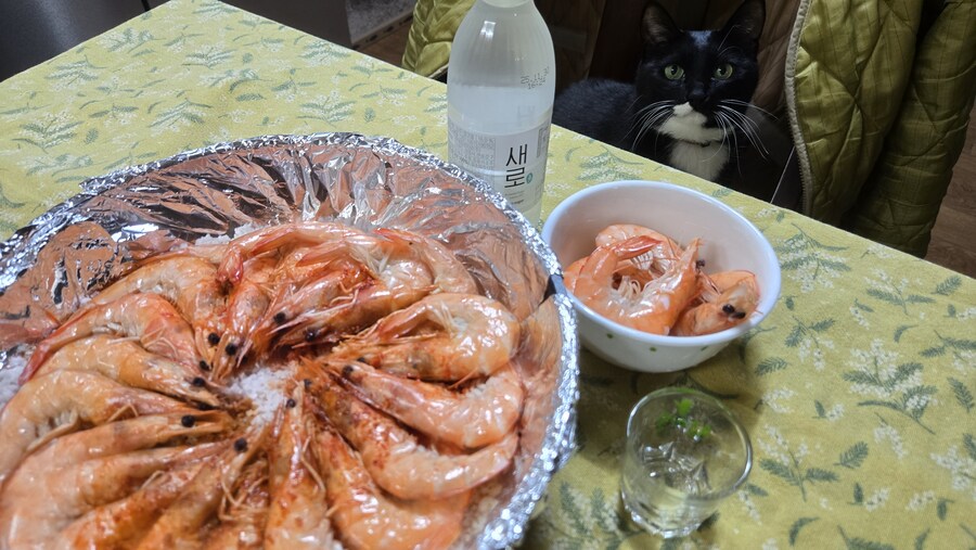 야옹이랑 한잔 해읍니다^^_5.jpg