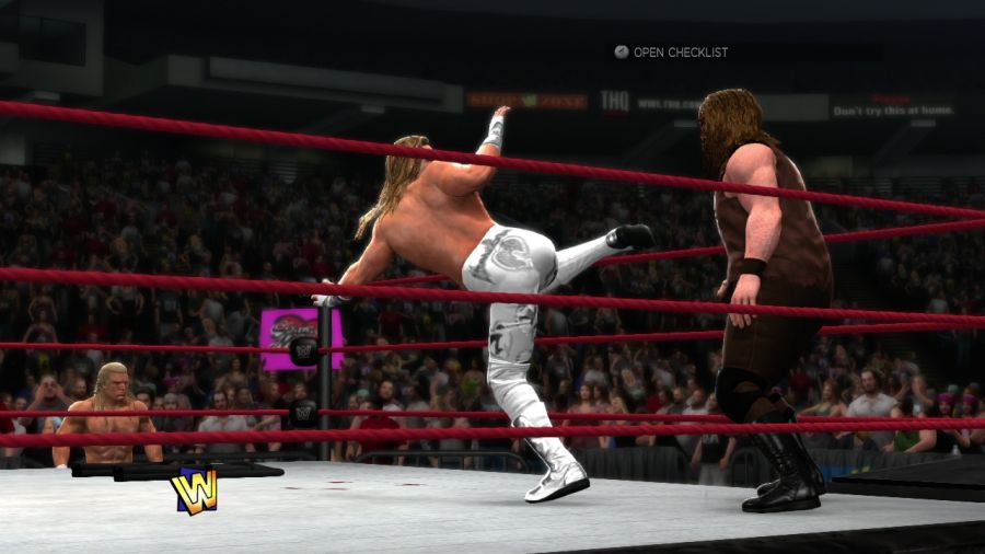 WWE'13_15.jpg