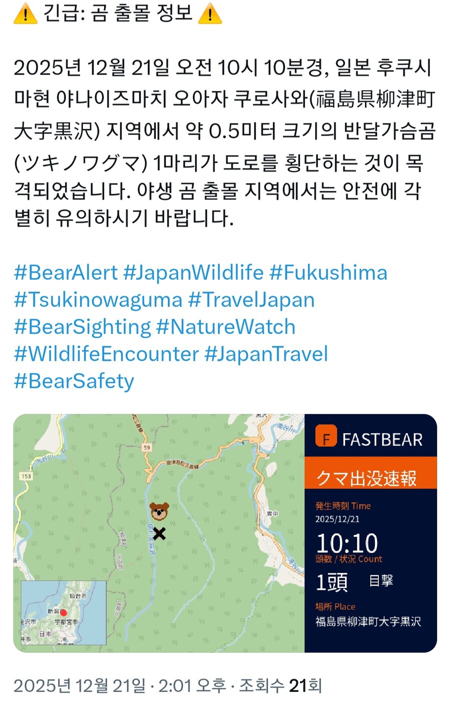 곰) 얼탱이없는 일본 곰 출몰 경보 근황_3.jpg