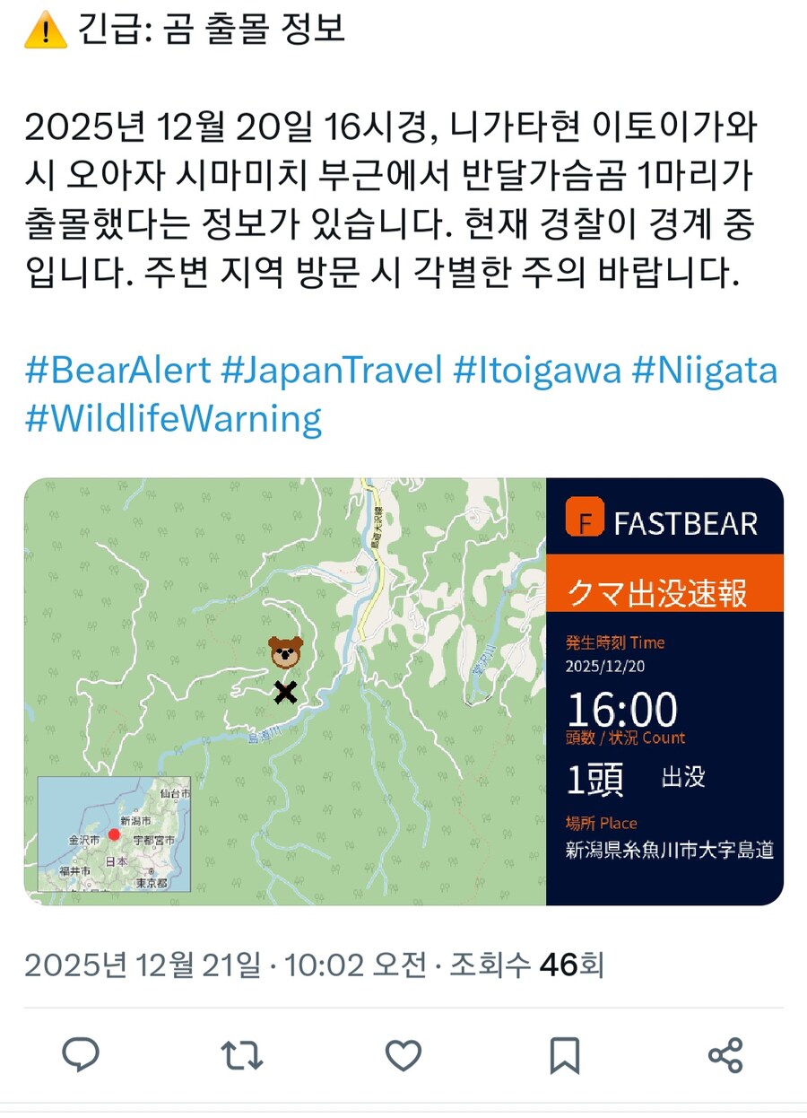 곰) 얼탱이없는 일본 곰 출몰 경보 근황_7.jpg