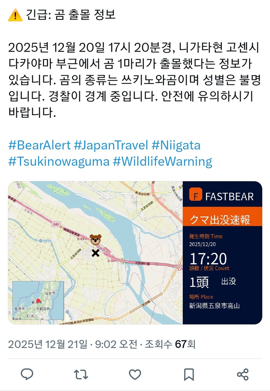 곰) 얼탱이없는 일본 곰 출몰 경보 근황_8.jpg