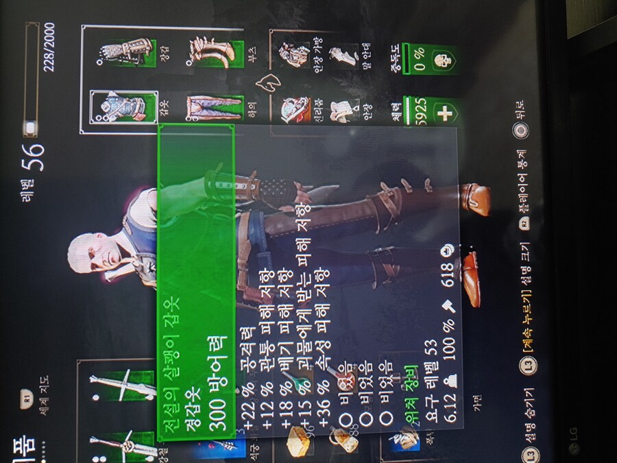 살쾡이갑옷 세트옵션 질문있어요_1.jpg