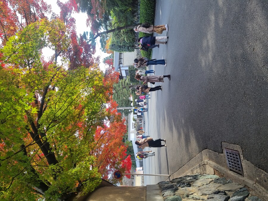 일본 워홀 32일차 교토 1박2일 호텔조식 니시키시장 탐방 도후쿠지(동복사)디저트_88.jpg