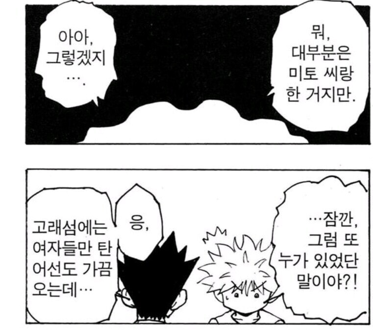 헌터X헌터) 잠깐나온 설정인데 위험해보임_3.jpg