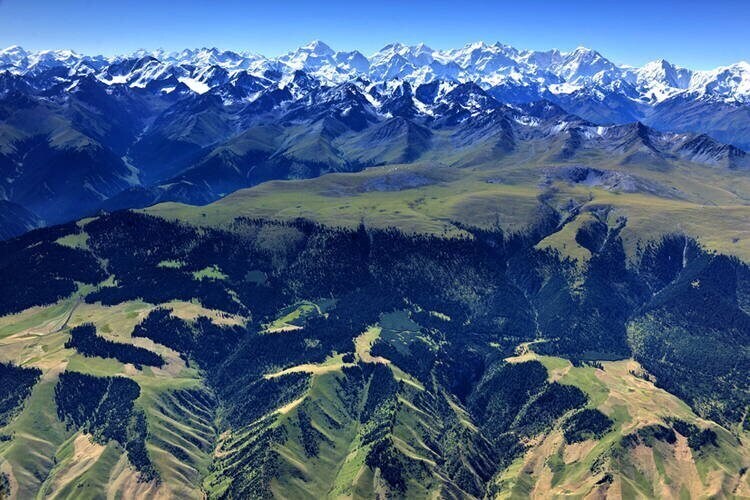 중원무림이 마교라면 치를 떠는 이유.jpg_3.jpg