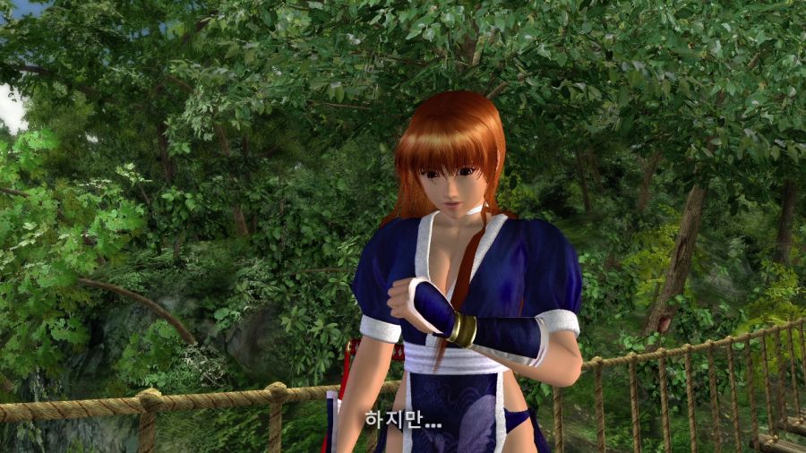 DEAD OR ALIVE 4_5.jpg