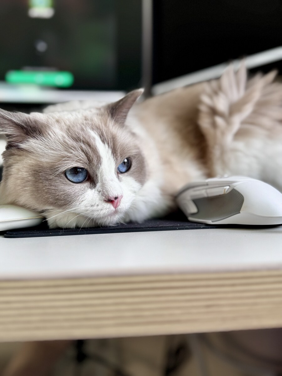 오랜만에 록희!_1.jpg