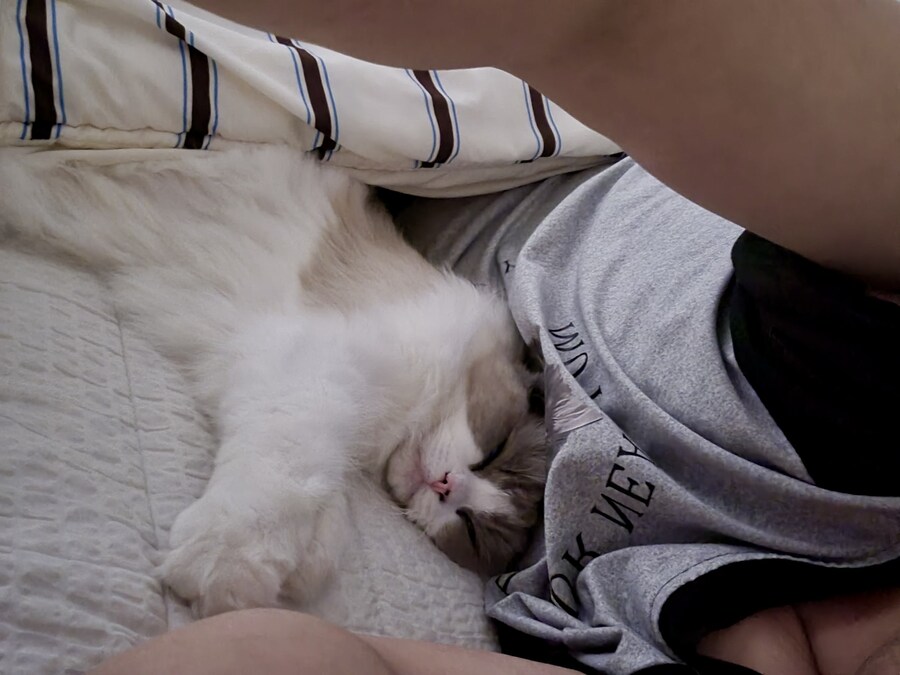 오랜만에 록희!_6.jpg