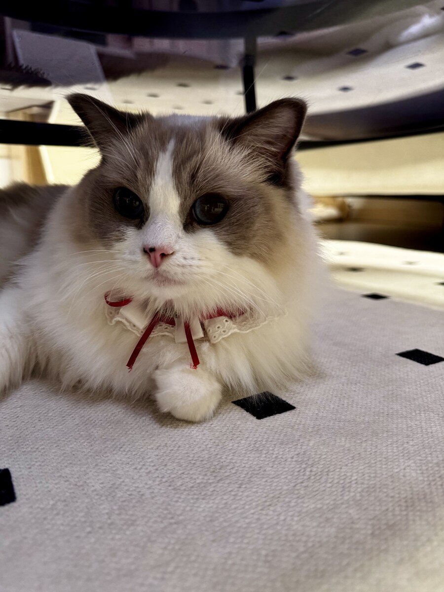 오랜만에 록희!_8.jpg