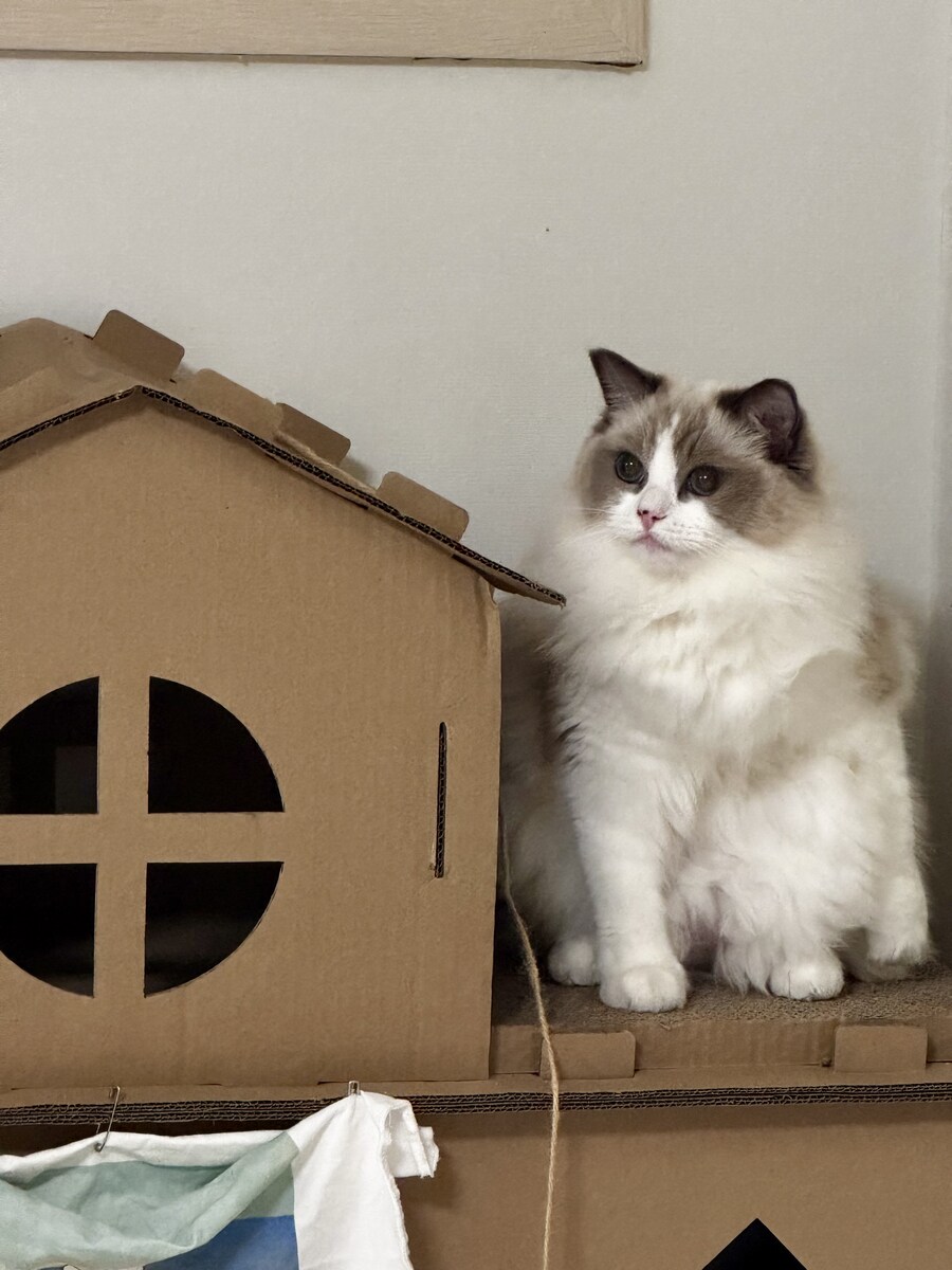 오랜만에 록희!_9.jpg